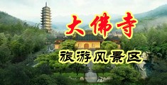 毛茸茸X乂中国浙江-新昌大佛寺旅游风景区